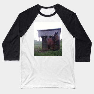 Amish Horse Picture Baseball T-Shirt